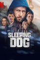 Sleeping Dog picture