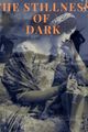 The Stillness of Dark picture