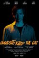 Curiosity Killed the Cat picture
