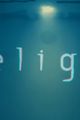 Delight picture