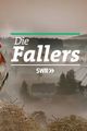 Die Fallers – Die SWR Schwarzwaldserie picture