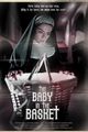 The Baby in the Basket picture