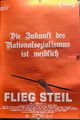 FLIEG STEIL picture