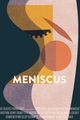 Meniscus picture