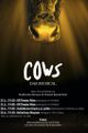 COWS - Das Musical picture