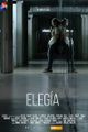 Elegia picture