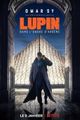 Lupin picture