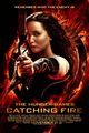The Hunger Games: Catching Fire picture