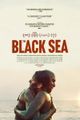 The Black Sea picture