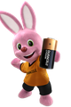 DURACELL picture
