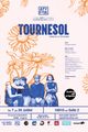 Tournesol picture