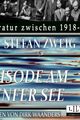 Episode am Genfer See, Stefan Zweig picture