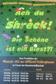 Ach du Shreck! Die schöne ist ein Biest picture