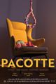 Pacotte 3iS picture