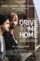 Drive me Home picture