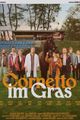 Cornetto im Gras picture