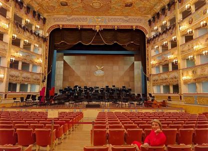 Image for Support Systems for Performing Artists