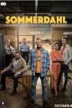 The Sommerdahl Murders picture