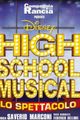 High School Musical - Lo spettacolo picture