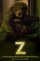 Z picture