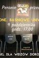 Oskarżone. Baśniowe Uniwersalia picture