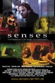 Senses picture