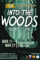 Into the Woods picture