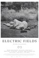 Electric Fields picture