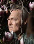 Bild Marcel Hensema