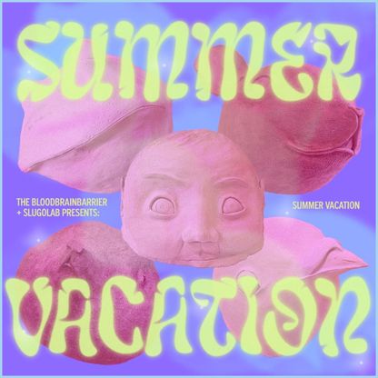 Image for A summer vacation  on August 2th and further dates tba
