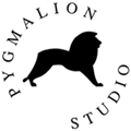 Studio Pygmalion picture