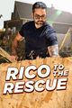 RICO TO THE RESCUE picture