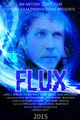 FLUX picture