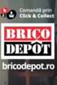 Bricodepot picture