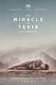 The Miracle of Tekir picture