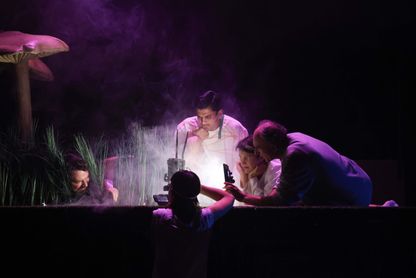 Image for Akın Emanuel Şipal: Der Zauberer von Öz – Eine Fußballtragödie | Bremen | Die Deutsche Bühne