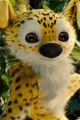 Marsupilami picture