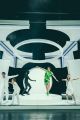 Peter Pan - das Musical picture