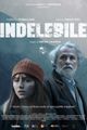 INDELEBILE picture