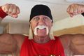 wizerunek Hulk Hogan