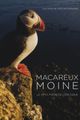 Macareux moine, le petit frère de L'arctique picture