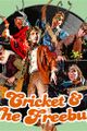 Cricket & The Freebugs picture