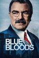 Blue Bloods (saison 14) picture