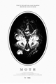 Moth picture