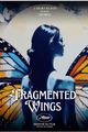 Fragmented Wings picture