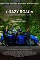 Crazy Roads picture