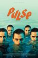 Puls / Pulse picture