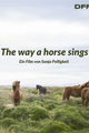 The way a horse sings (Kurzfilm) picture