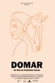 Domar picture