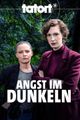 Tatort Bremen "Angst im Dunkeln" picture